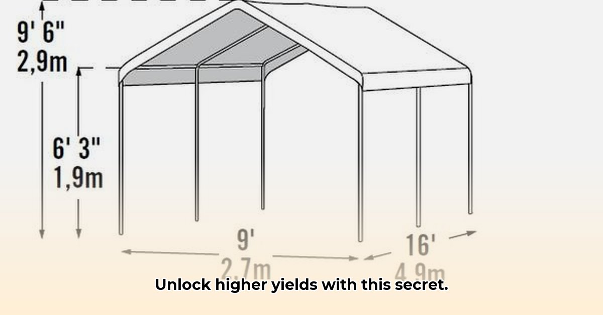 tractor-supply-canopy-tent
